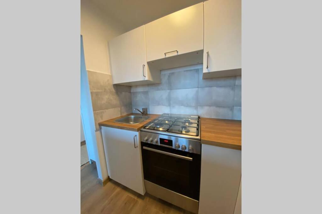 Modern Studio Apartment At Park&Stadium Near City Center Katowice Zewnętrze zdjęcie